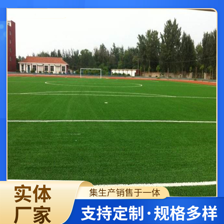 嘉峪关市硅PU人造草坪 - 排名